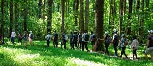 Environmental Law and Policy Program Students on the Orientation Hike