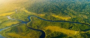 River in the Amazon