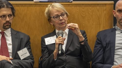 Sandra Polaski speaking holding a microphone at the panel