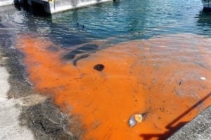 A red tide rises along docks