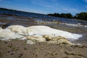 PFAS pollution on a coastline