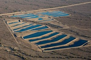 Tonopah Desert Recharge Project in Tonopah, about 65 miles west of Phoenix. (Central Arizona Project) 