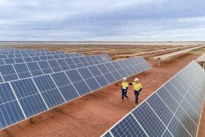 Two engineers in safety gear and hard hats walk through a field of solar panels. https://www.pv-magazine.com/2021/12/16/alinta-switches-on-australias-largest-remote-solar-farm/