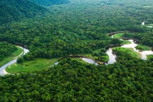 Aerial image overlooking a winding river in the Amazon Rainforest. Source: https://media.cntraveller.com/photos/611becca628f4910ed10222d/16:9/w_2992,h_1683,c_limit/gettyimages-1044285108.jpg