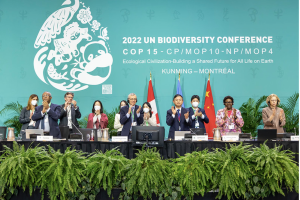 A panel of people at a long table clap while standing in front of the COP15 Logo. Source: https://www.cbd.int/article/cop15-cbd-press-release-final-19dec2022