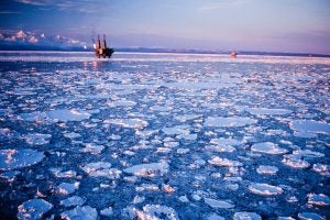 Oil rigs operate in the ocean surrounded by floating sea ice (Creative Commons | Bureau of Safety and Environmental Enforcement)