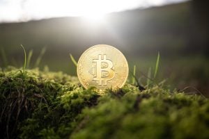 A bitcoin medallion sits in a lush green field–Is the SEC hampering crypto’s move away from energy-intensive mining and towards sustainability?
