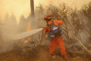 Incarcerated firefighters fight the Rim Fire in California in 2013