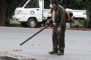 Man wears a mask while using a gas-powered leaf blower to clear leaves. Photo: Thomas, see below for image link.