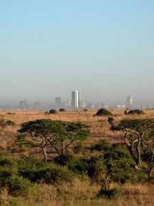 Nairobi skyline across fields