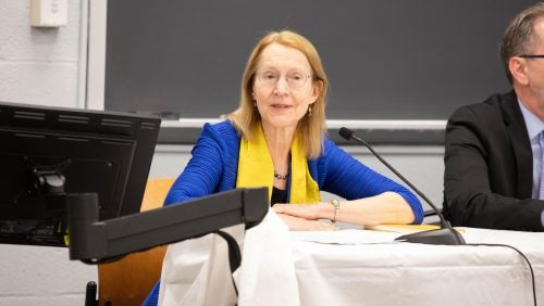 Georgetown University Law Center faculty member, Professor Jane Stromseth, provides opening remarks for the panel discussion.