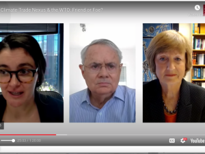 Panelists discussing 