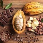 Cacao pods, beans and chocolate