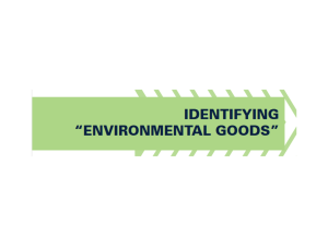Identifying "Environmental Goods"