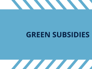 5. Green Subsidies