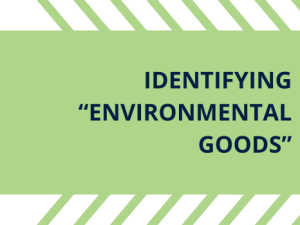 Identifying "Environmental Goods"