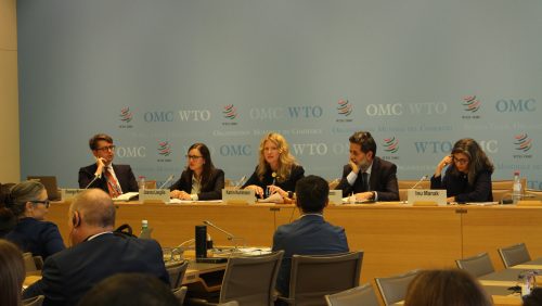 CITD Faculty Director, Professor Katrin Kuhlmann at the WTO Public Forum