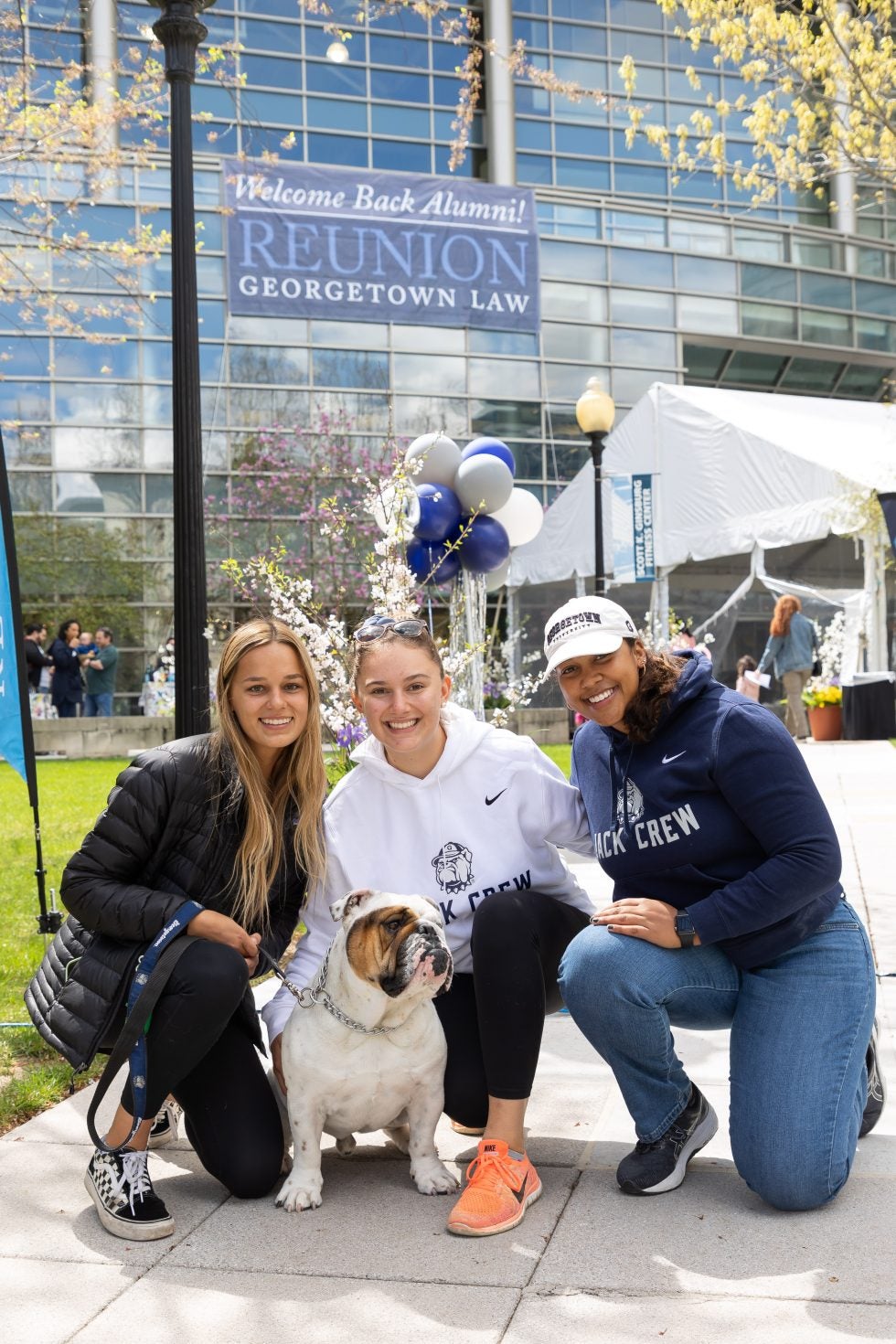 Jack the Bulldog at the Hoya Lawya Reunion Picnic