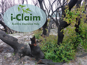 i-Claim: Bushfire Insurance Help