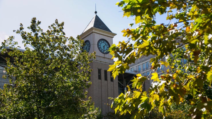 A clock tower surrounded by tree branches