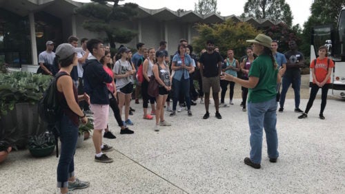 Students volunteer at the National Arboretum.