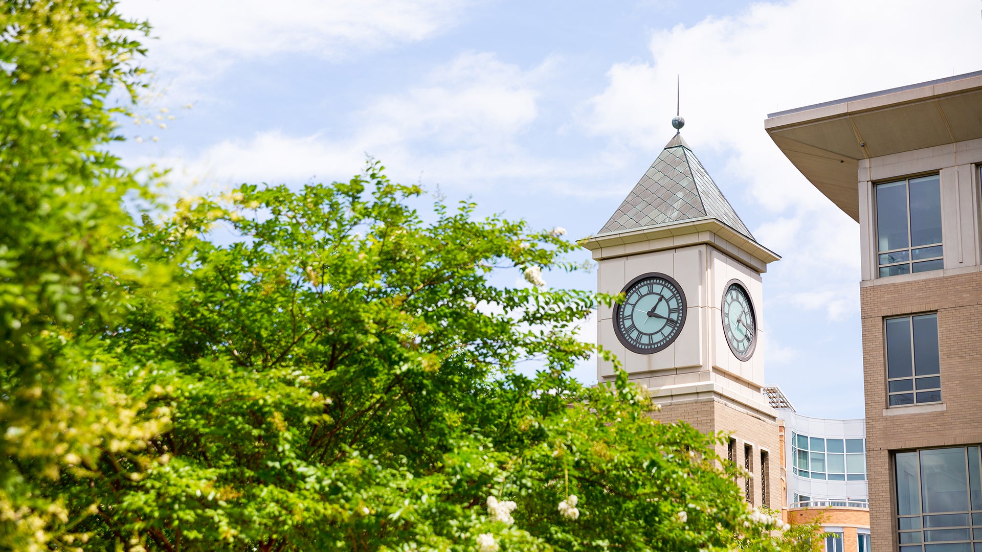 Image of the Georgetown Law Center clock tower behind an image of a tree under blue skies.