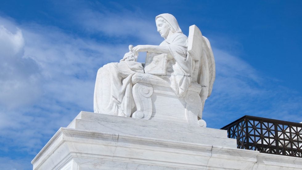 Which case on the supreme court's hot sale docket concerns the second amendment