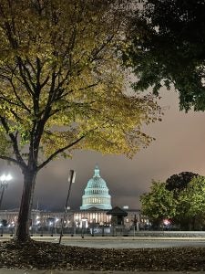 The U.S. Capitol at night