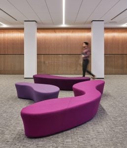 Three curvy, purple, upholstered benches