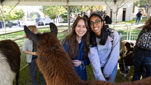 Two guests pose with a llama at Saturday’s picnic petting zoo.