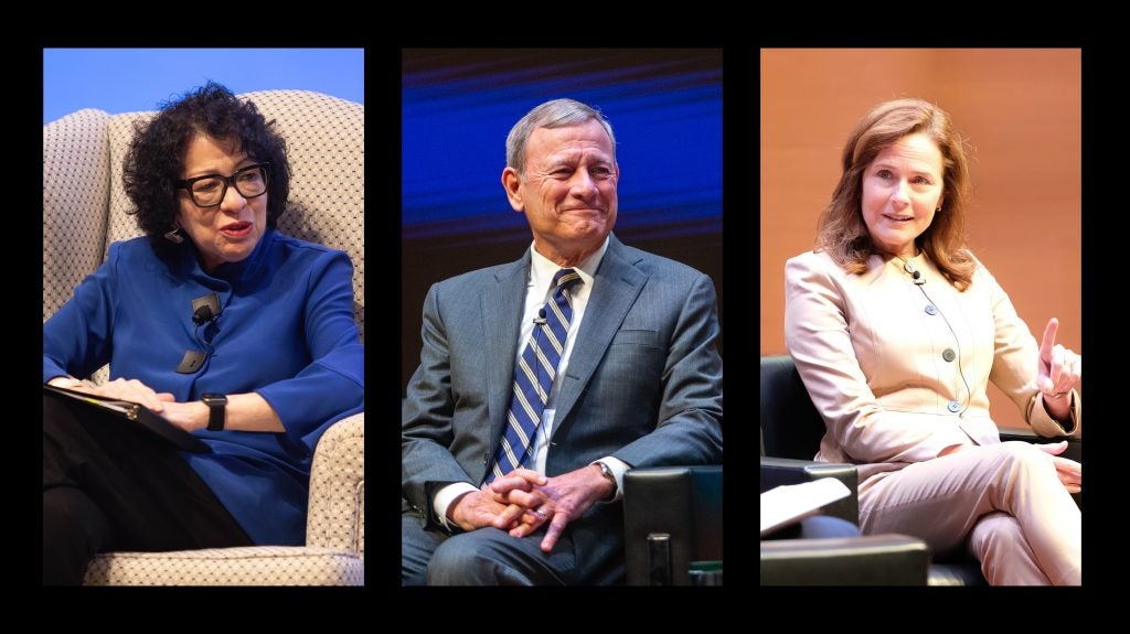 Photo collage. See caption for details.