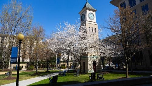 The Law Center clocktower and surrounding green